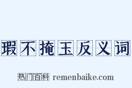 瑕不掩玉反义词是什么意思的图片